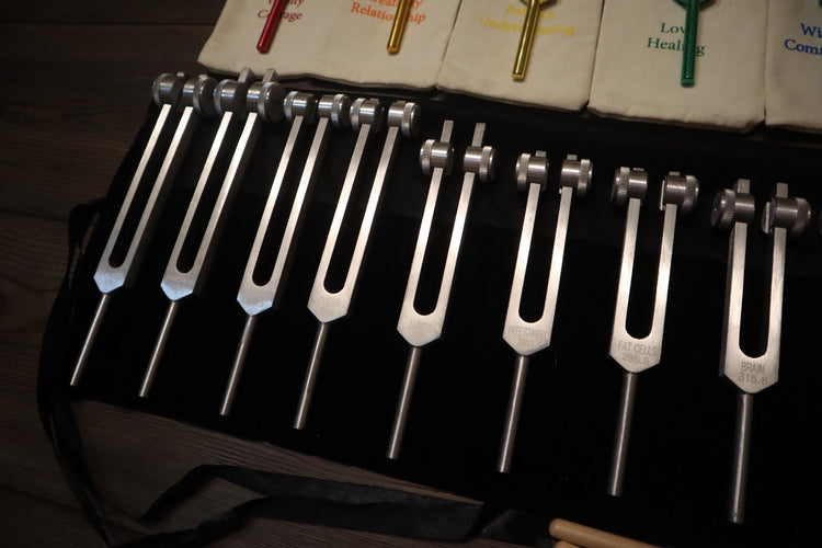 23pc Human Biology And Chakra Tuning Fork Bundle - Professionally Tuned .25 - Weighted, Bio-field, Sound Vibration