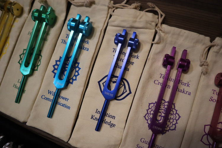 23pc Human Biology And Chakra Tuning Fork Bundle - Professionally Tuned .25 - Weighted, Bio-field, Sound Vibration
