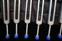 19pc Chakra and Planetary Tuning Fork - Professionally Tuned .25 - Weighted, Astrology, Chakras, Sound Vibration, Bio-field