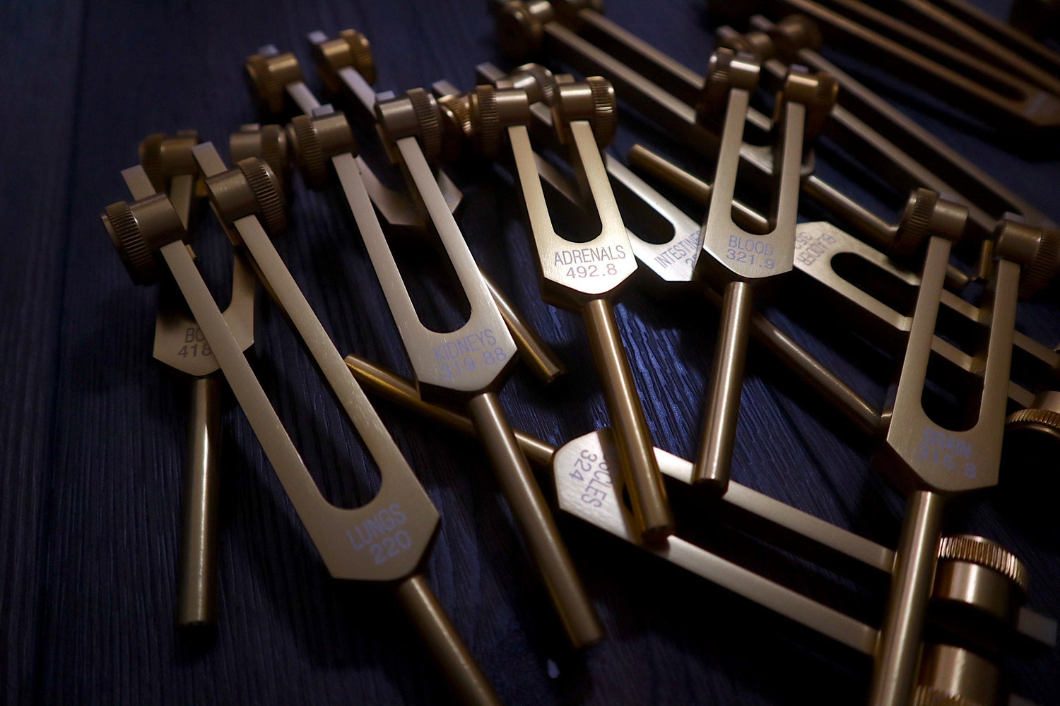 Myriad Melodies' Professionally Tuned .25 15pc Human Biology Tuning Fork Set - Organs Tissue Cells Sound Vibration, Bio-field, Carry Bag