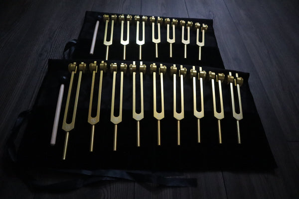 9pc Secret Solfeggio and 8pc Chakra Tuning Fork Bundle - Professionally Tuned .25 - Gold Weighted, 2 Strikers, 2 Carry Bags
