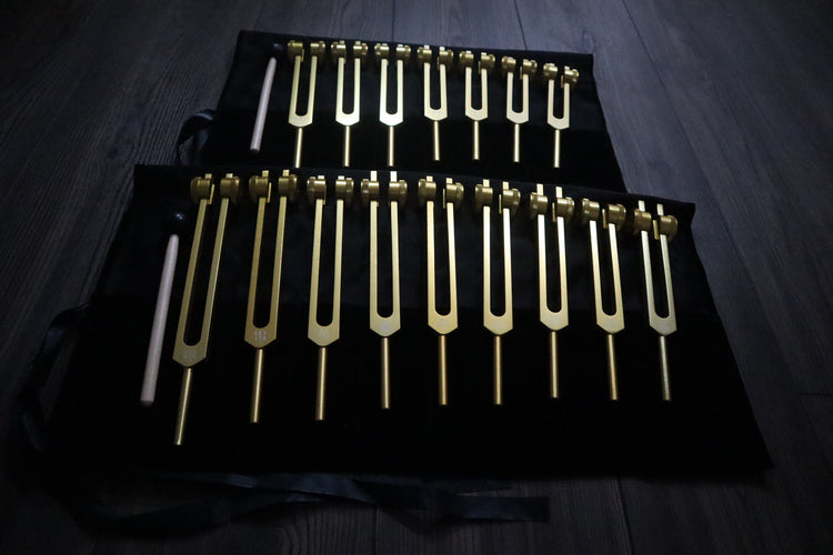 9pc Secret Solfeggio and 8pc Chakra Tuning Fork Bundle - Professionally Tuned .25 - Gold Weighted, 2 Strikers, 2 Carry Bags