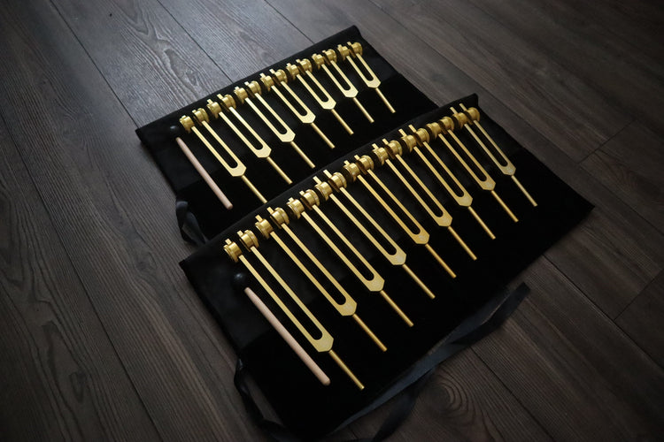 9pc Secret Solfeggio and 8pc Chakra Tuning Fork Bundle - Professionally Tuned .25 - Gold Weighted, 2 Strikers, 2 Carry Bags