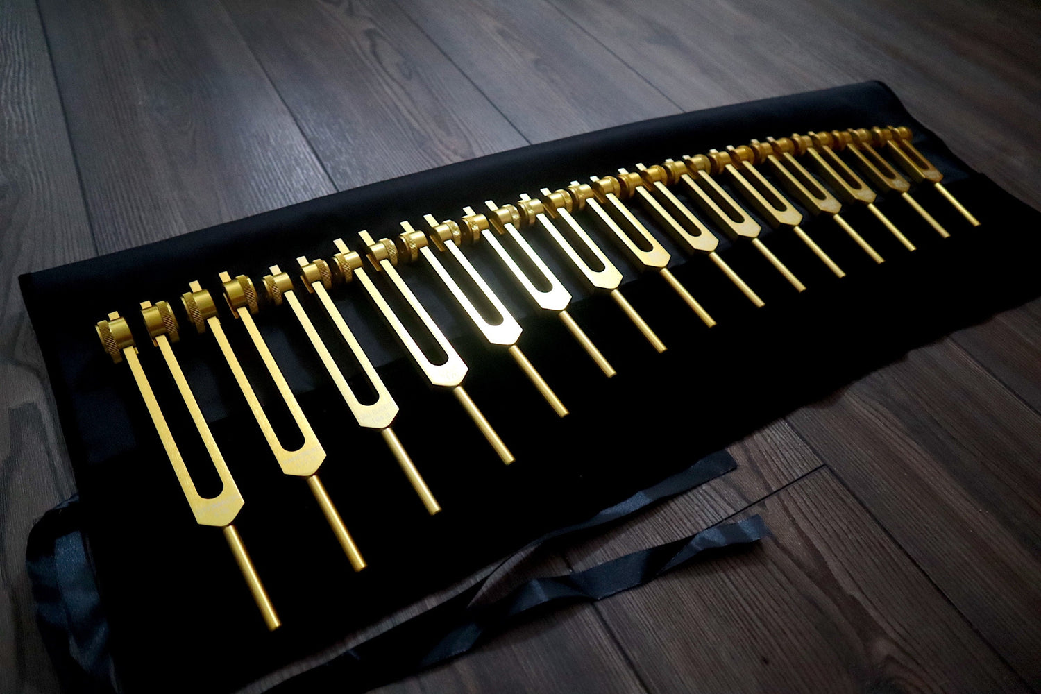 Myriad Melodies' Professionally Tuned .25 15pc Human Biology Tuning Fork Set - Organs Tissue Cells Sound Vibration, Bio-field, Carry Bag