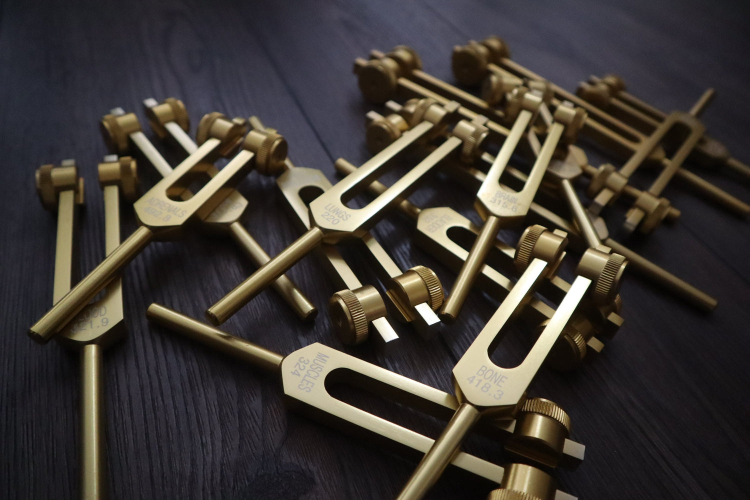 24pc Human Biology and Secret Solfeggio Tuning Fork - Professionally Tuned .25 - Gold, Silver Bio-field Sound Vibration