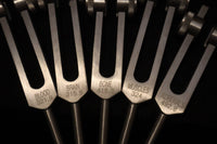 24pc Human Biology and Secret Solfeggio Tuning Fork - Professionally Tuned .25 - Gold, Silver Bio-field Sound Vibration