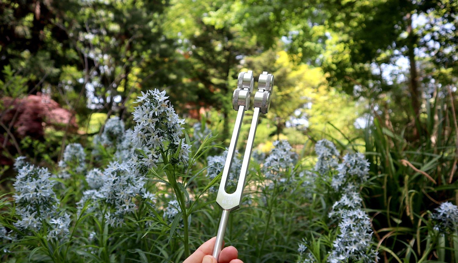 Myriad Melodies' Earth Star 68.05 Hz Tuning Fork - Sound Vibration, Grounding, Biofield - Attenuator Handle Extender with 10mm Crystal