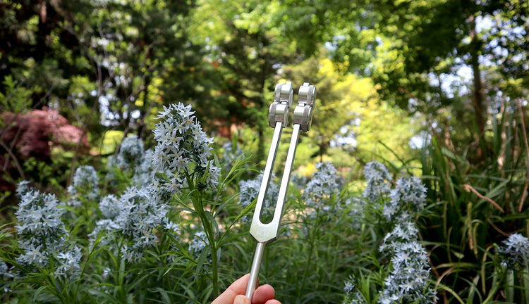 Myriad Melodies' Earth Star 68.05 Hz Tuning Fork - Sound Vibration, Grounding, Biofield - Attenuator Handle Extender with 10mm Crystal