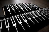24pc Human Biology and Secret Solfeggio Tuning Fork - Professionally Tuned .25 - Gold, Silver Bio-field Sound Vibration