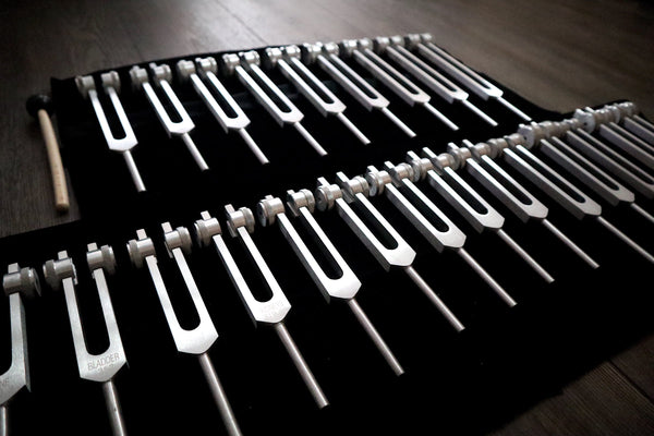 24pc Human Biology and Secret Solfeggio Tuning Fork - Professionally Tuned .25 - Gold, Silver Bio-field Sound Vibration