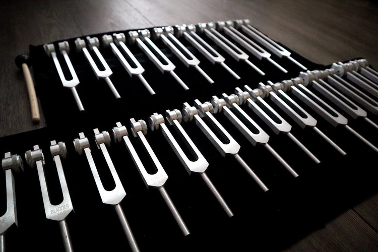 24pc Human Biology and Secret Solfeggio Tuning Fork - Professionally Tuned .25 - Gold, Silver Bio-field Sound Vibration