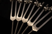 24pc Human Biology and Secret Solfeggio Tuning Fork - Professionally Tuned .25 - Gold, Silver Bio-field Sound Vibration