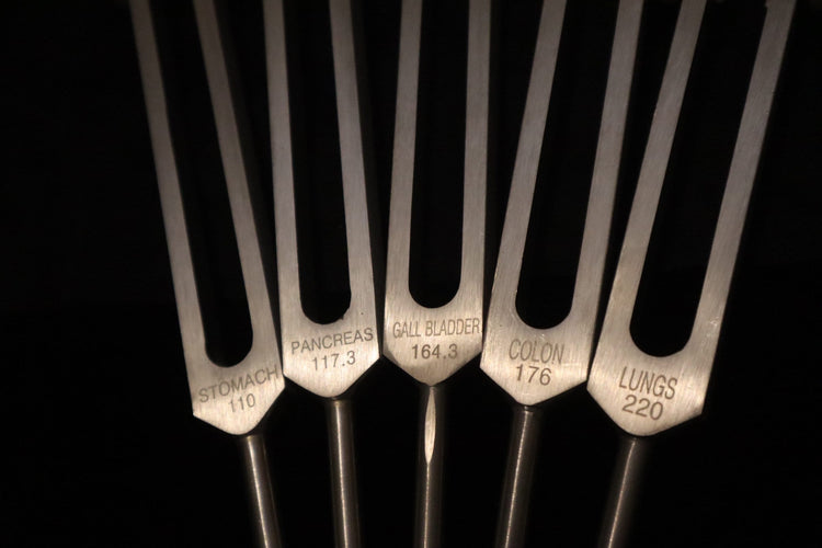 24pc Human Biology and Secret Solfeggio Tuning Fork - Professionally Tuned .25 - Gold, Silver Bio-field Sound Vibration
