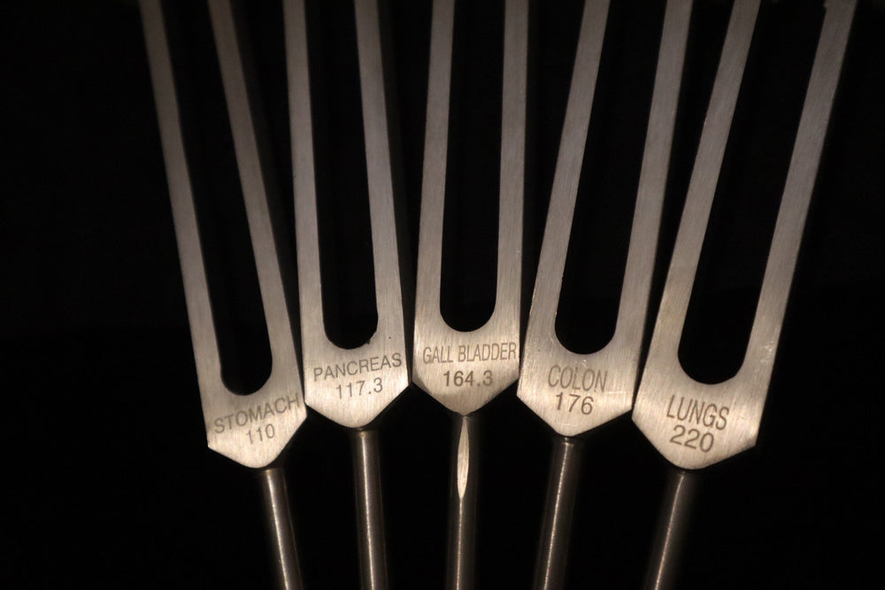 24pc Human Biology and Secret Solfeggio Tuning Fork - Professionally Tuned .25 - Gold, Silver Bio-field Sound Vibration