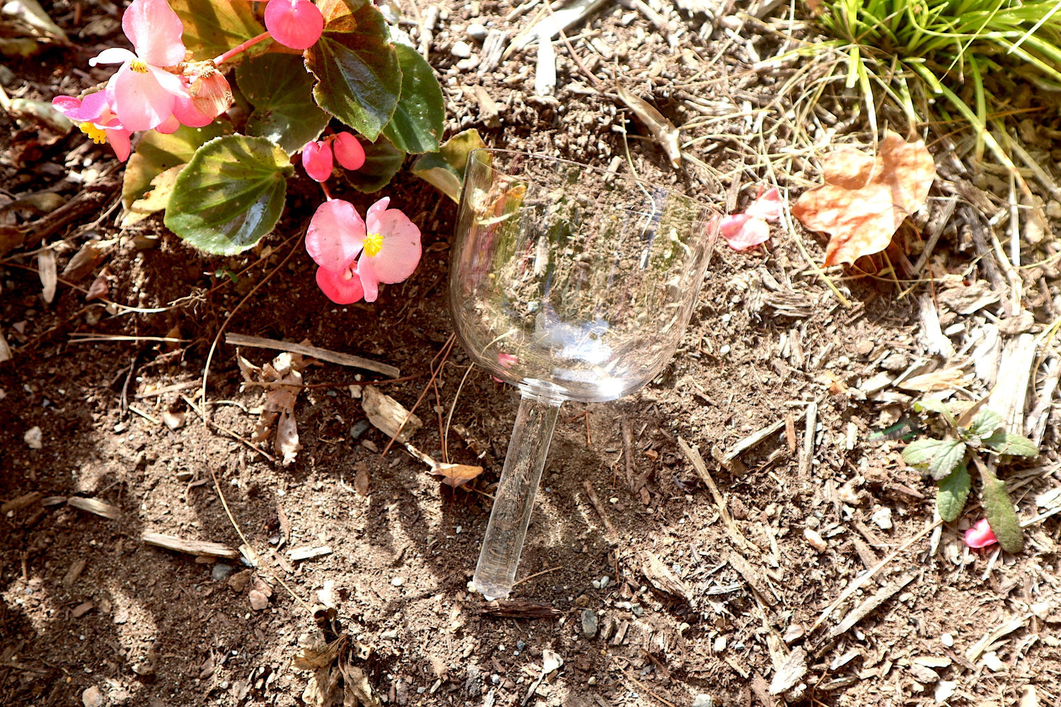 528 Hz Clear Handle Bowl - Premium Singing Bowl for Sound Vibration, 4.25" Solfeggio 528 Hz, Bio-field