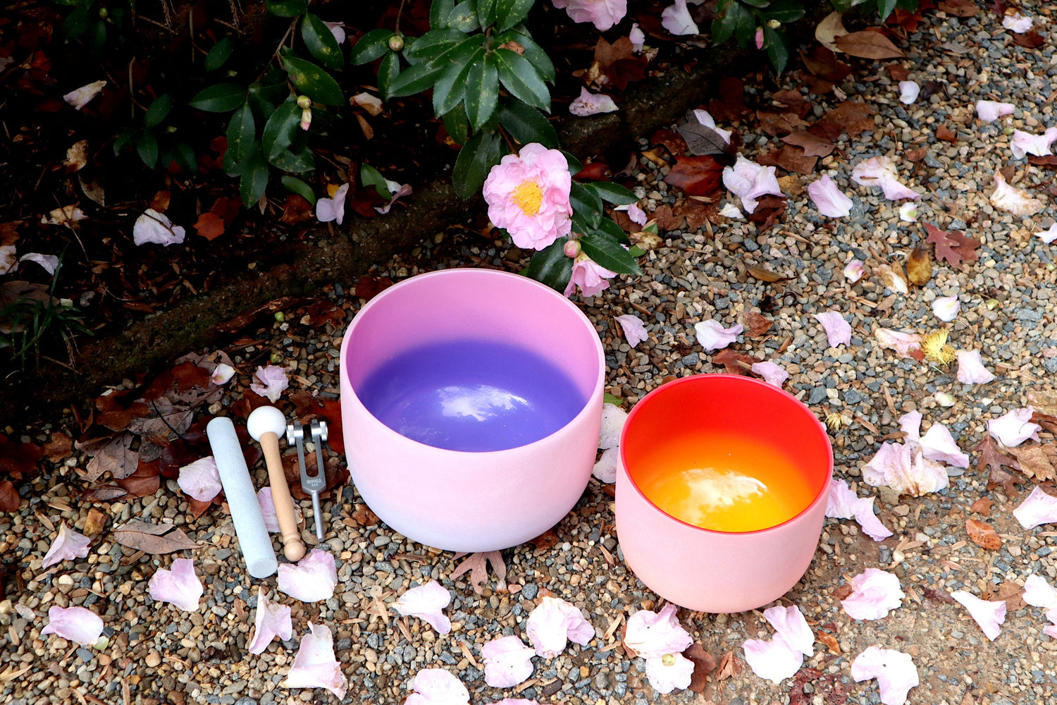 528 Hz 8" Horizon and 432 Hz 10" Pink Aura Bowl - 174Hz Solfeggio Tuning Fork - Mallet, Striker, Carry Case, Sound Vibration, Gift For Her