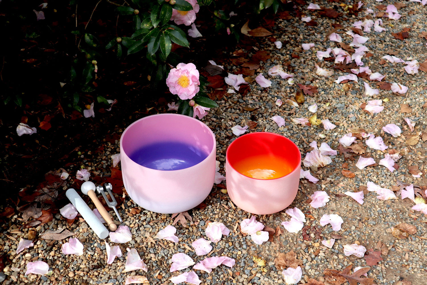 528 Hz 8" Horizon and 432 Hz 10" Pink Aura Bowl - 174Hz Solfeggio Tuning Fork - Mallet, Striker, Carry Case, Sound Vibration, Gift For Her