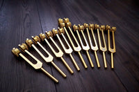 Myriad Melodies' Professionally Tuned .25 8pc Chakra Tuning Fork Set - Gold, Root Through Crown Chakras - Attenuator Extenders - Biofield