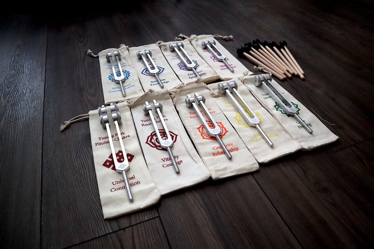 Myriad Melodies' Professionally Tuned .25 8pc Chakra Tuning Fork Set - Silver - Root to Crown Chakras - Attenuator Extenders - Biofield