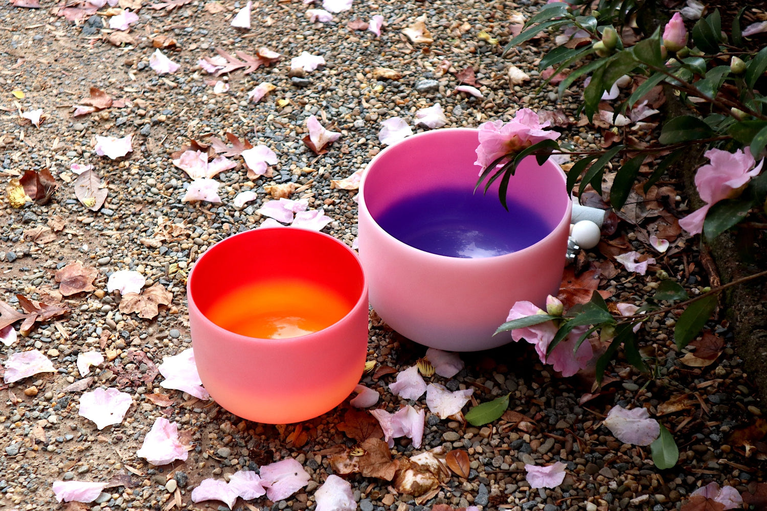 528 Hz 8" Horizon and 432 Hz 10" Pink Aura Bowl - 174Hz Solfeggio Tuning Fork - Mallet, Striker, Carry Case, Sound Vibration, Gift For Her