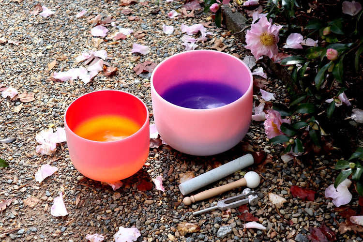 528 Hz 8" Horizon and 432 Hz 10" Pink Aura Bowl - 174Hz Solfeggio Tuning Fork - Mallet, Striker, Carry Case, Sound Vibration, Gift For Her