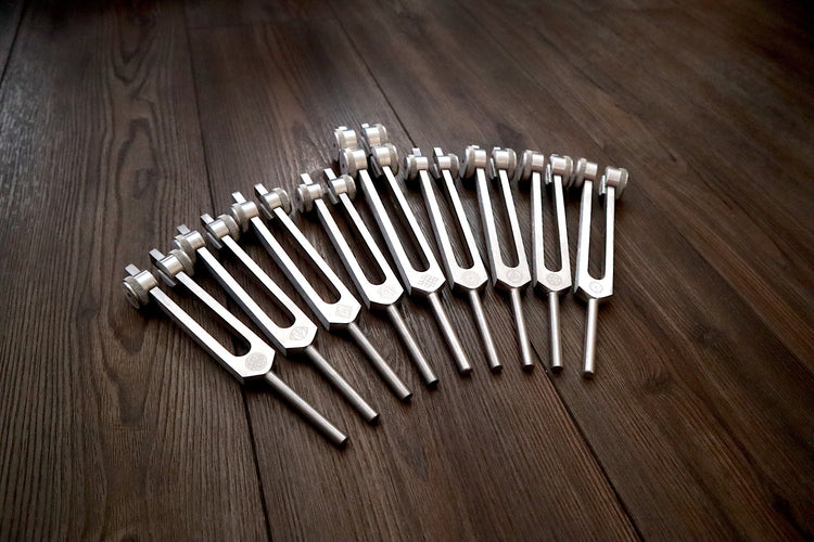Myriad Melodies' Professionally Tuned .25 8pc Chakra Tuning Fork Set - Silver - Root to Crown Chakras - Attenuator Extenders - Biofield