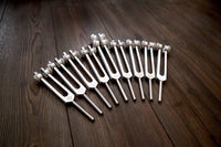 Myriad Melodies' Professionally Tuned .25 8pc Chakra Tuning Fork Set - Silver - Root to Crown Chakras - Attenuator Extenders - Biofield