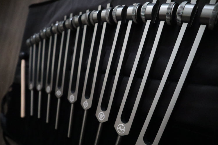 Myriad Melodies' Professionally Tuned .25 Secret Solfeggio - Classic 9pc Set - Limited Edition Gray, Chakra Printed Engrams, Biofield,