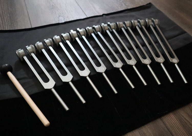 Myriad Melodies' Professionally Tuned .25 Secret Solfeggio - Classic 9pc Set - Limited Edition Gray, Chakra Printed Engrams, Biofield,