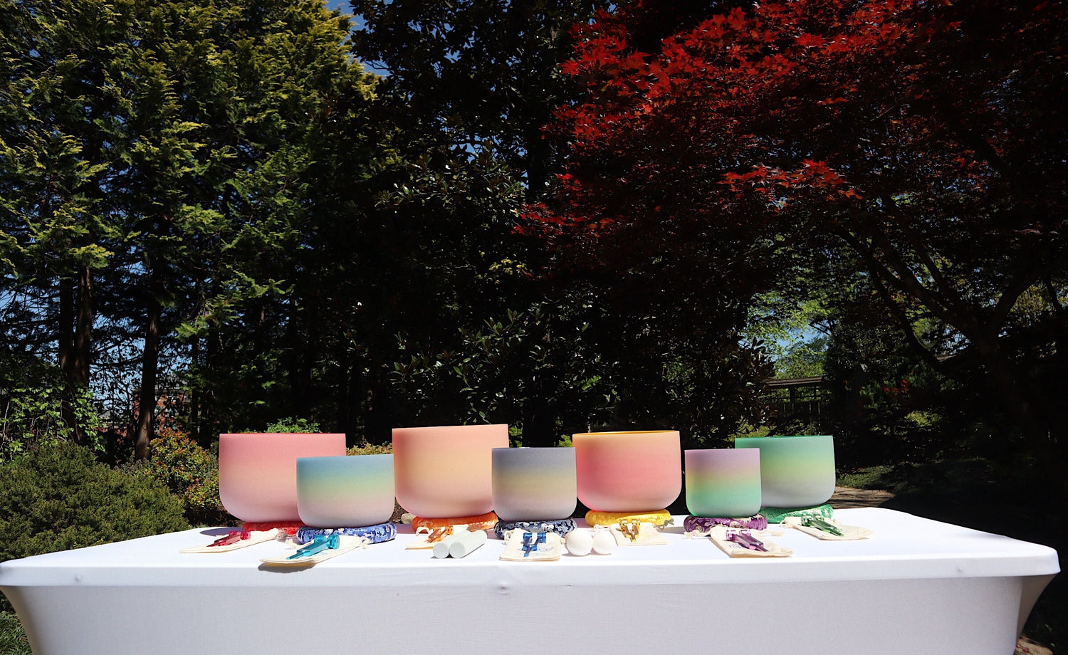 Myriad Melodies' Perfect Pitch (5 Cents) 432 Hz Rainbow Bowl Set - 10 Chakra Tuning Forks - 10 Crystal Attenuators - Protective Cases