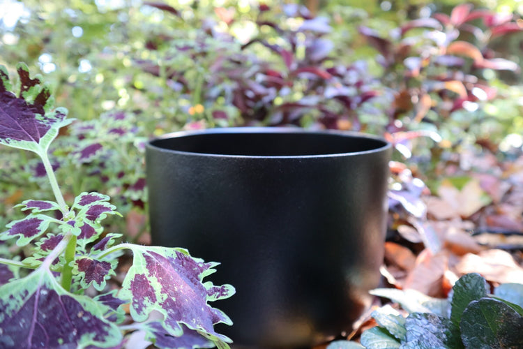 432hz 12" Gravity Bowl - C Note, Quartz Crystal Singing Bowl, Sound Vibration, Padded Carry Case, Striker, Mallet, and O-ring