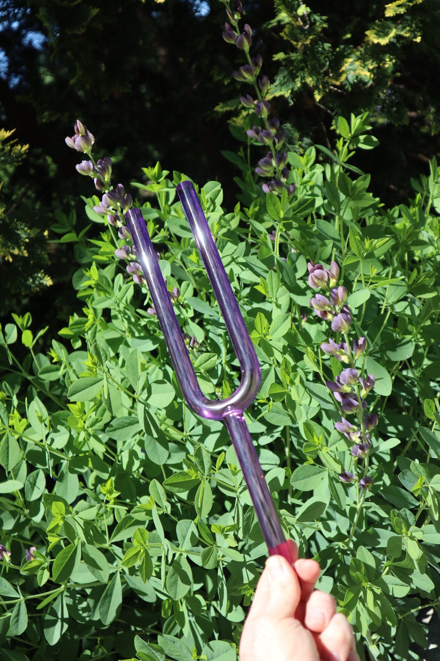 Crown Chakra Crystal Tuning Fork - 16mm - F-Note - Corresponds to the Heart Chakras - Carry Case - Crystal Vibration, Sound Vibration