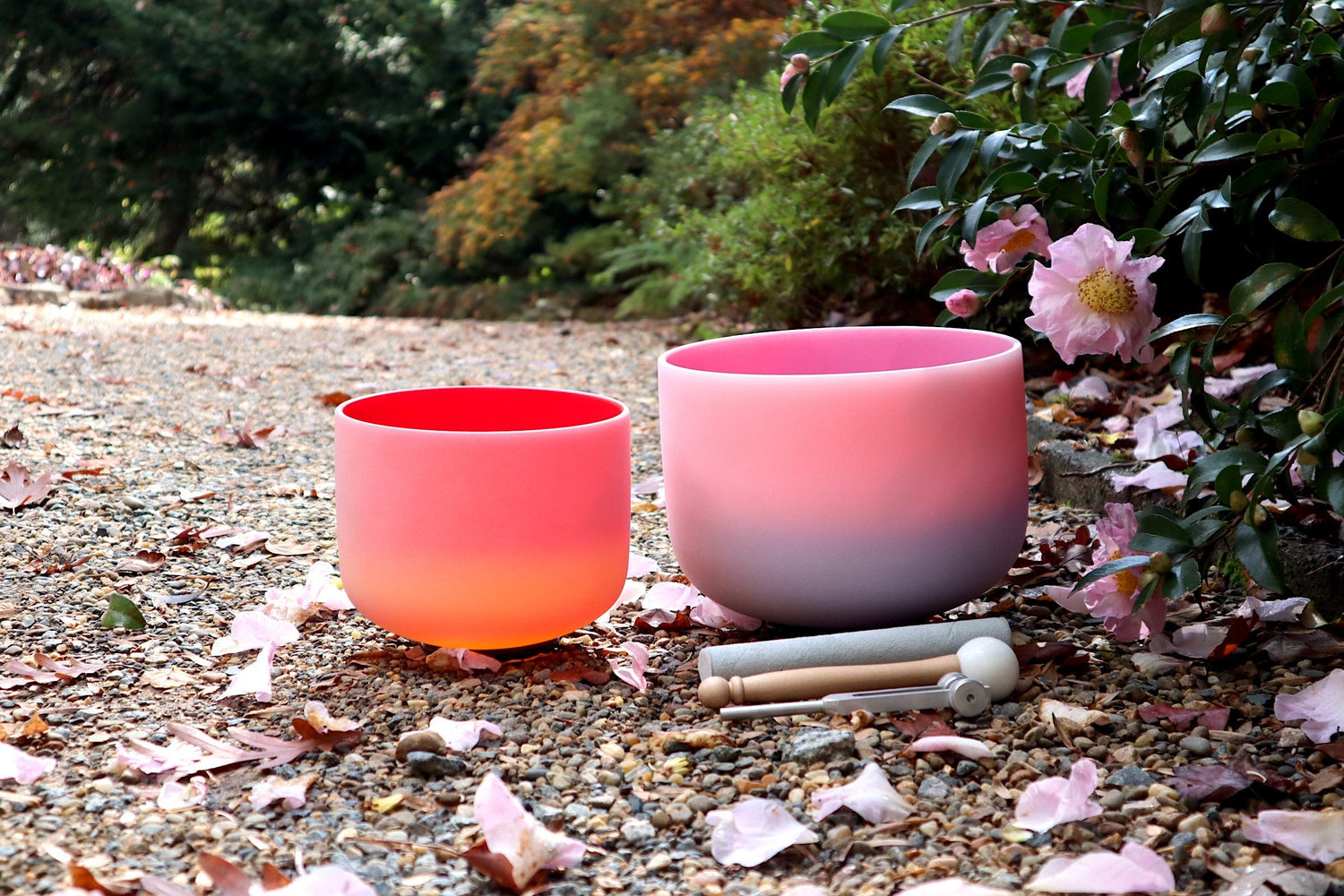 528 Hz 8" Horizon and 432 Hz 10" Pink Aura Bowl - 174Hz Solfeggio Tuning Fork - Mallet, Striker, Carry Case, Sound Vibration, Gift For Her