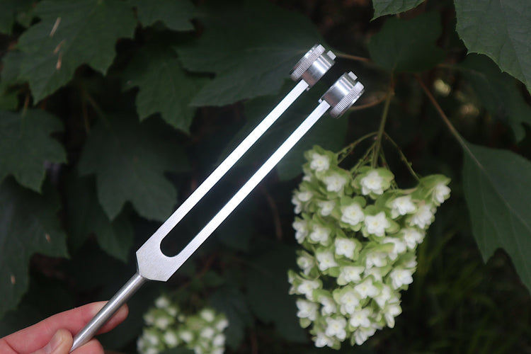 Schumann 93.96 Hz Tuning Fork - Schumann Resonance - Sound Vibration, Energy Vibration - Attenuator Handle Extender with 10mm Crystal