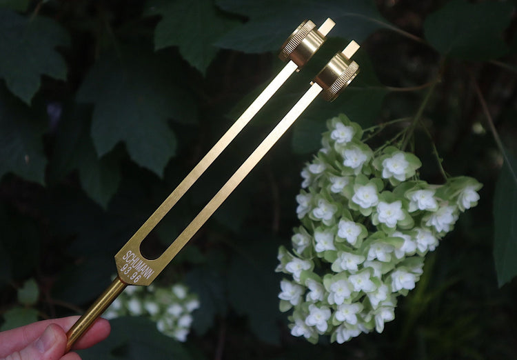 Schumann 93.96 Hz Tuning Fork - Schumann Resonance - Sound Vibration, Energy Vibration - Attenuator Handle Extender with 10mm Crystal