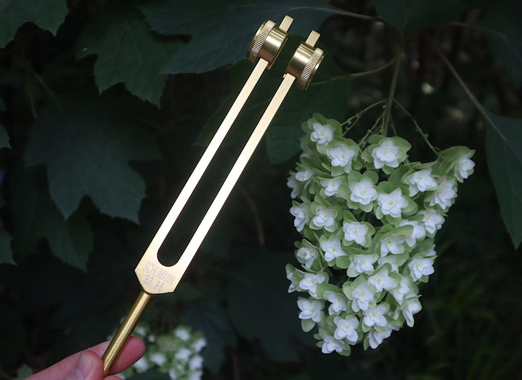 Schumann 93.96 Hz Tuning Fork - Schumann Resonance - Sound Vibration, Energy Vibration - Attenuator Handle Extender with 10mm Crystal
