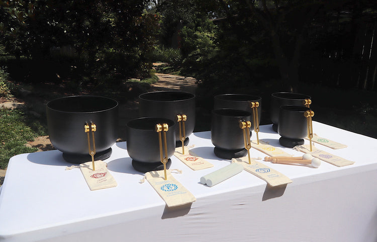 Myriad Melodies' Perfect Pitch (5 Cents) 432 Hz Gravity Bowl Set - 10 Chakra Tuning Forks - 10 Crystal Attenuators - Protective Cases