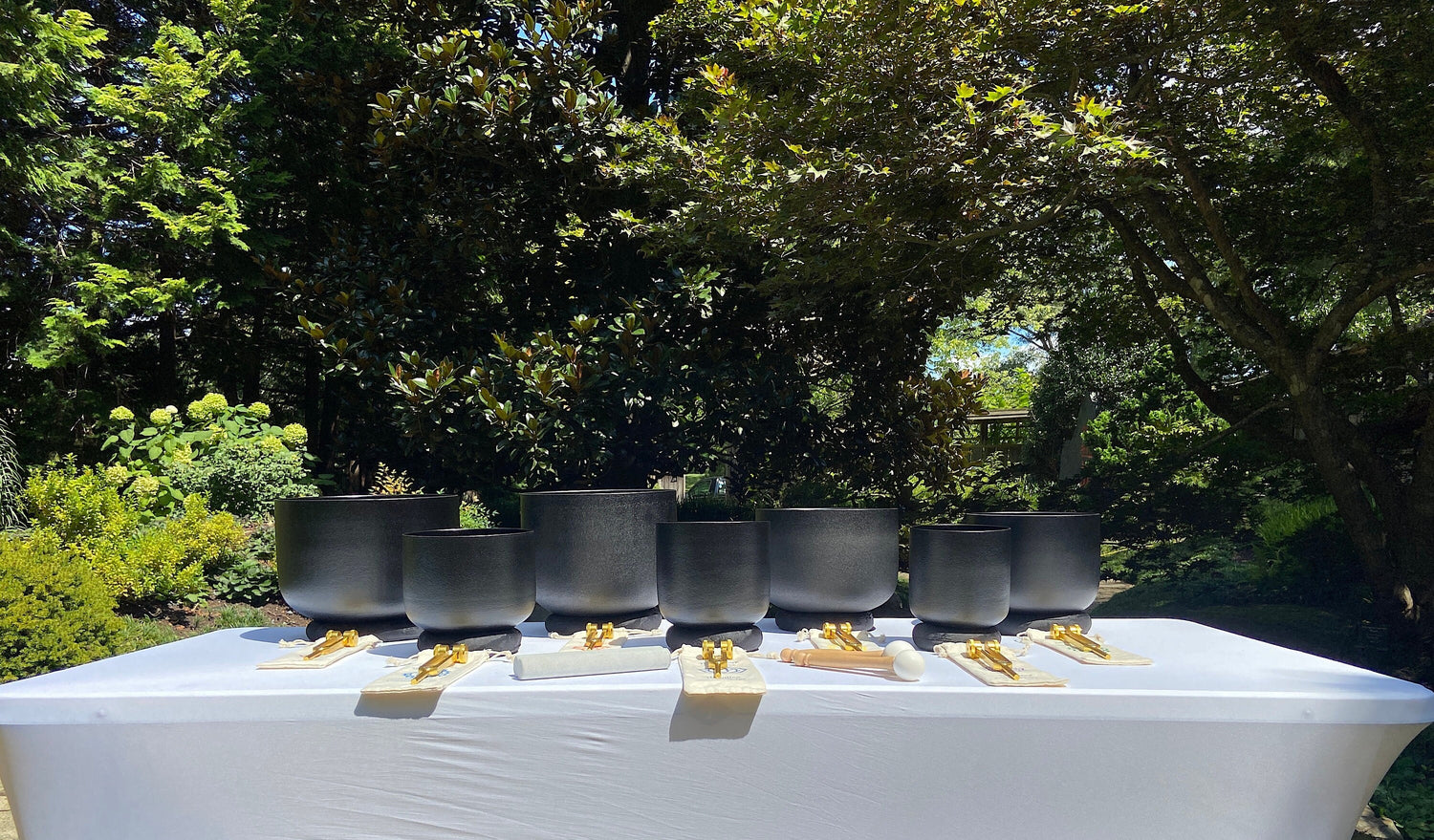 Myriad Melodies' Perfect Pitch (5 Cents) 432 Hz Gravity Bowl Set - 10 Chakra Tuning Forks - 10 Crystal Attenuators - Protective Cases