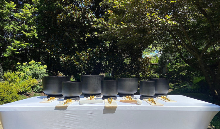 Myriad Melodies' Perfect Pitch (5 Cents) 432 Hz Gravity Bowl Set - 10 Chakra Tuning Forks - 10 Crystal Attenuators - Protective Cases