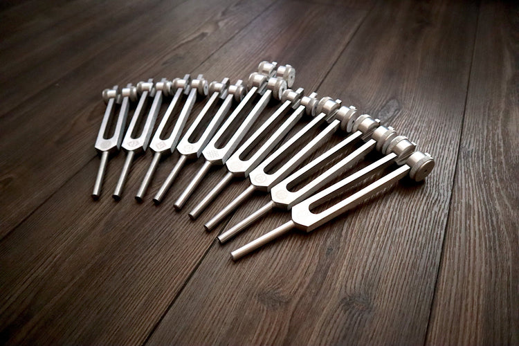 24pc Human Biology and Secret Solfeggio Tuning Fork - Professionally Tuned .25 - Gold, Silver Bio-field Sound Vibration