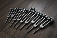 Myriad Melodies' Professionally Tuned .25 9pc Chakra Tuning Forks - Gray - Earth Star Chakra through Soul Star - Biofield, Sound Vibration