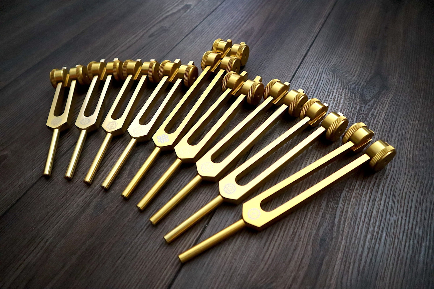 24pc Human Biology and Secret Solfeggio Tuning Fork - Professionally Tuned .25 - Gold, Silver Bio-field Sound Vibration