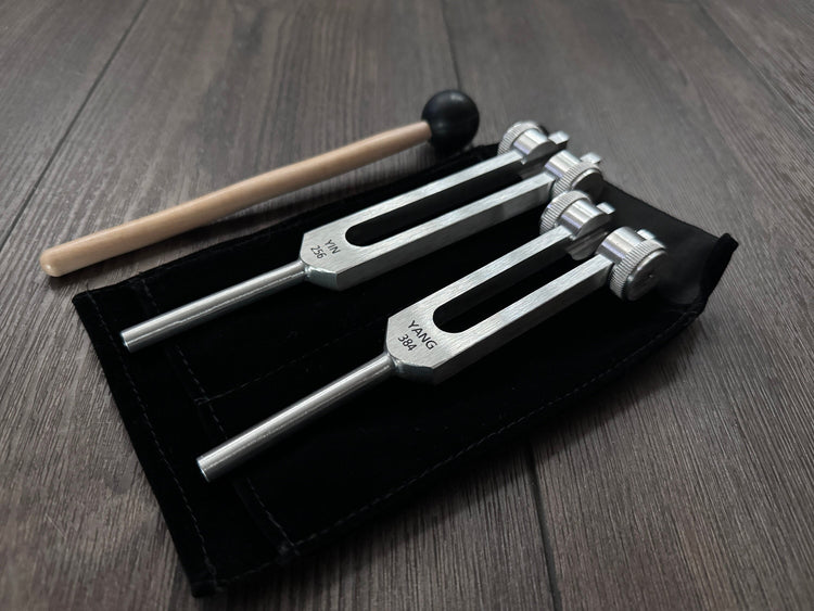 Perfect Fifth Harmonic Yin and Yang Tuning Fork Set - C 256 Hz G 384 Hz, Weighted, Bio-field Therapy