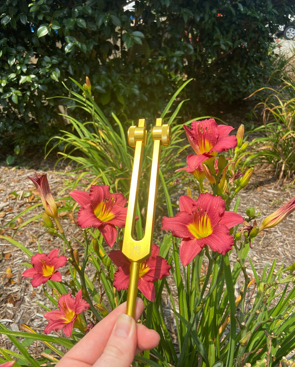 174 Hz Tuning Fork - Carry Bag and Striker, Sound Vibration, Energy Vibration - Attenuator Handle Extender with 10mm Crystal - Biofield