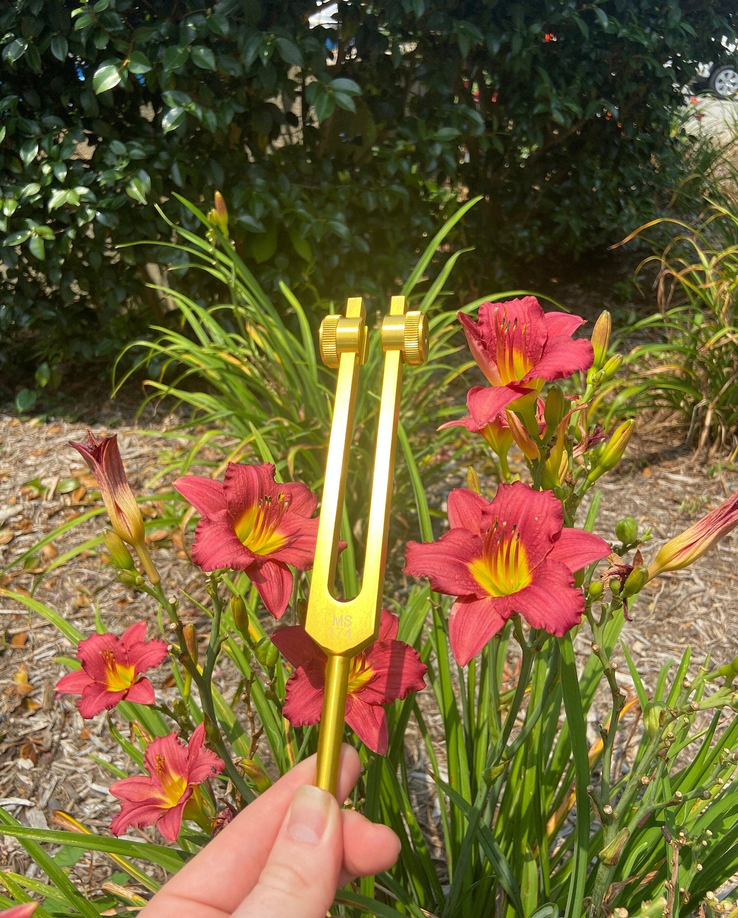 174 Hz Tuning Fork - Carry Bag and Striker, Sound Vibration, Energy Vibration - Attenuator Handle Extender with 10mm Crystal - Biofield