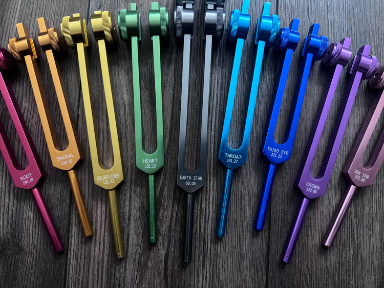 Myriad Melodies' Professionally Tuned .25 9pc Chakra Tuning Forks with 10pc Premium Weighted Boot Set - Biofield, Sound Vibration