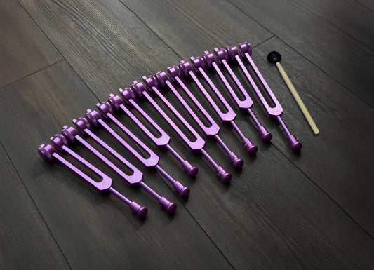 Myriad Melodies' Professionally Tuned .25 Secret Solfeggio - Classic 9pc Set - Chakra Printed Engrams, Attenuator Beads - Purple