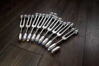 Myriad Melodies' Professionally Tuned .25 9pc Chakra Silver Tuning Forks with 10pc Crystal Massage Attenuator Set - Biofield Tune