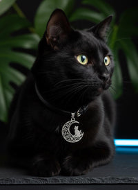 Crescent Moon Cat Mystical Beauty Charm Necklace: Unique Gift For Him or Her, Spiritual Symbols