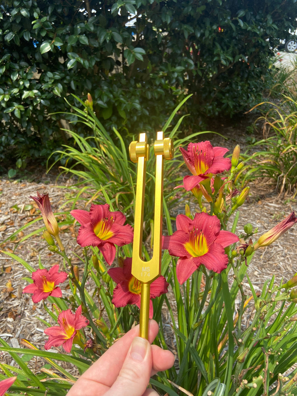174 Hz Solfeggio Tuning Fork - Heart Chakra Crystal Singing Bowl Bundle For Vibration, F Note, Padded Carry Case, Suede Striker, and O-Ring